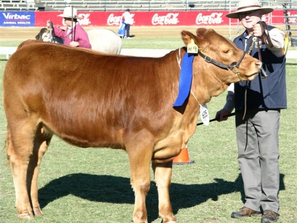 EKKA 2013