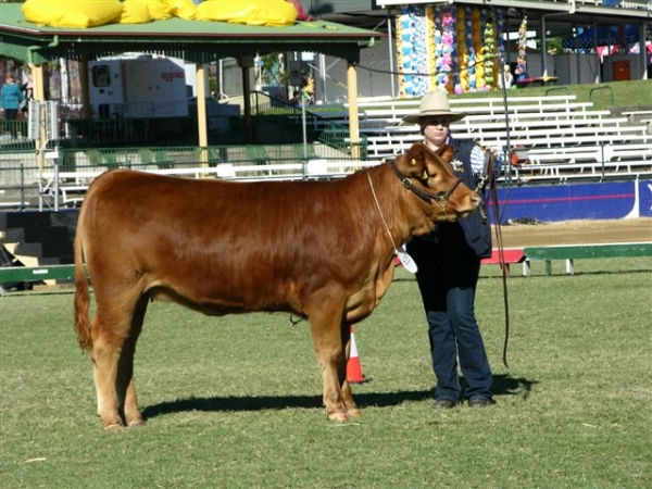 EKKA 2013