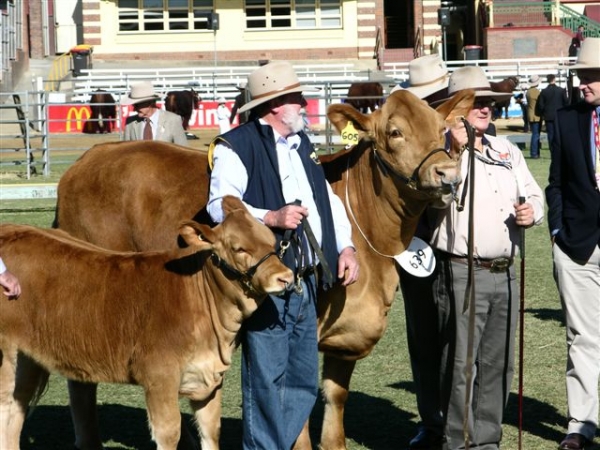 EKKA 2013