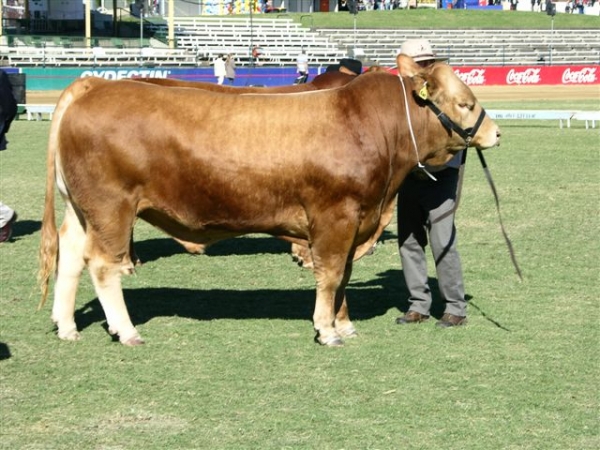 EKKA 2013